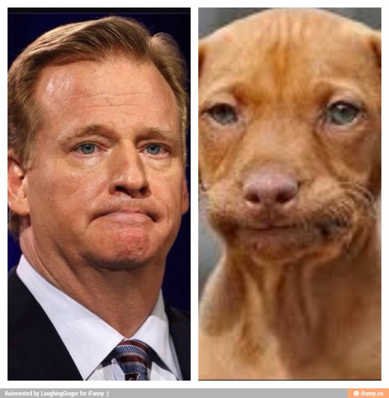 Your “Who’s A Good Doggie?” Wednesday Evening Open Thread