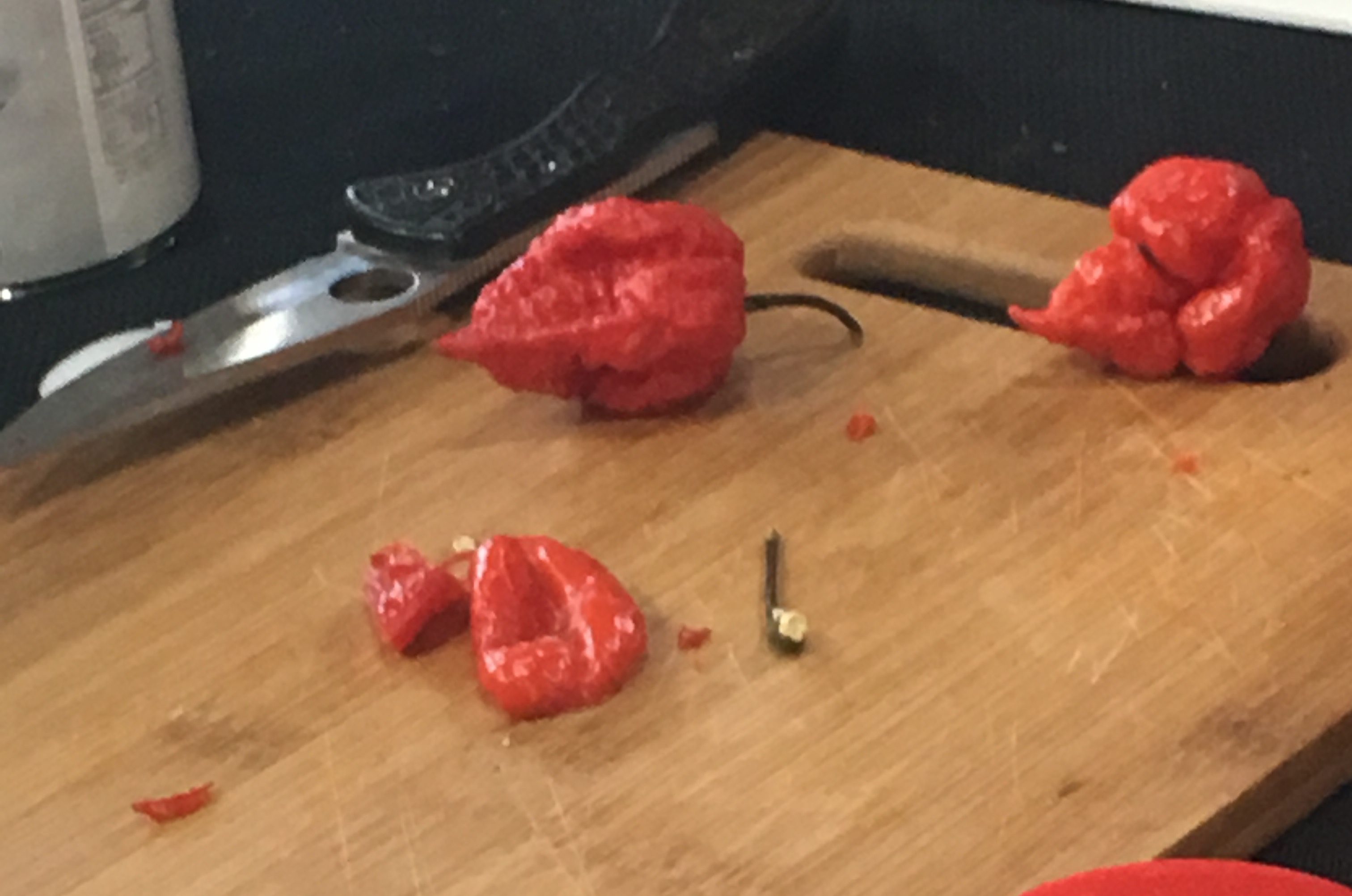 Boots on the Ground at the NYC Hot Sauce Expo 2: Fear the Reaper