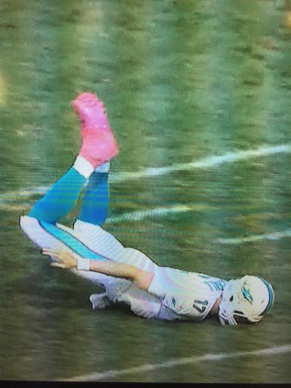 Your ‘Why don’t you just kill yourself because you’re already dead’: Miami Dolphins Preview