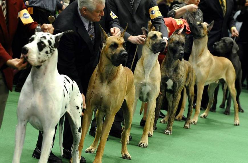 Your “Where My Bitches At?” Tuesday Evening Open Thread