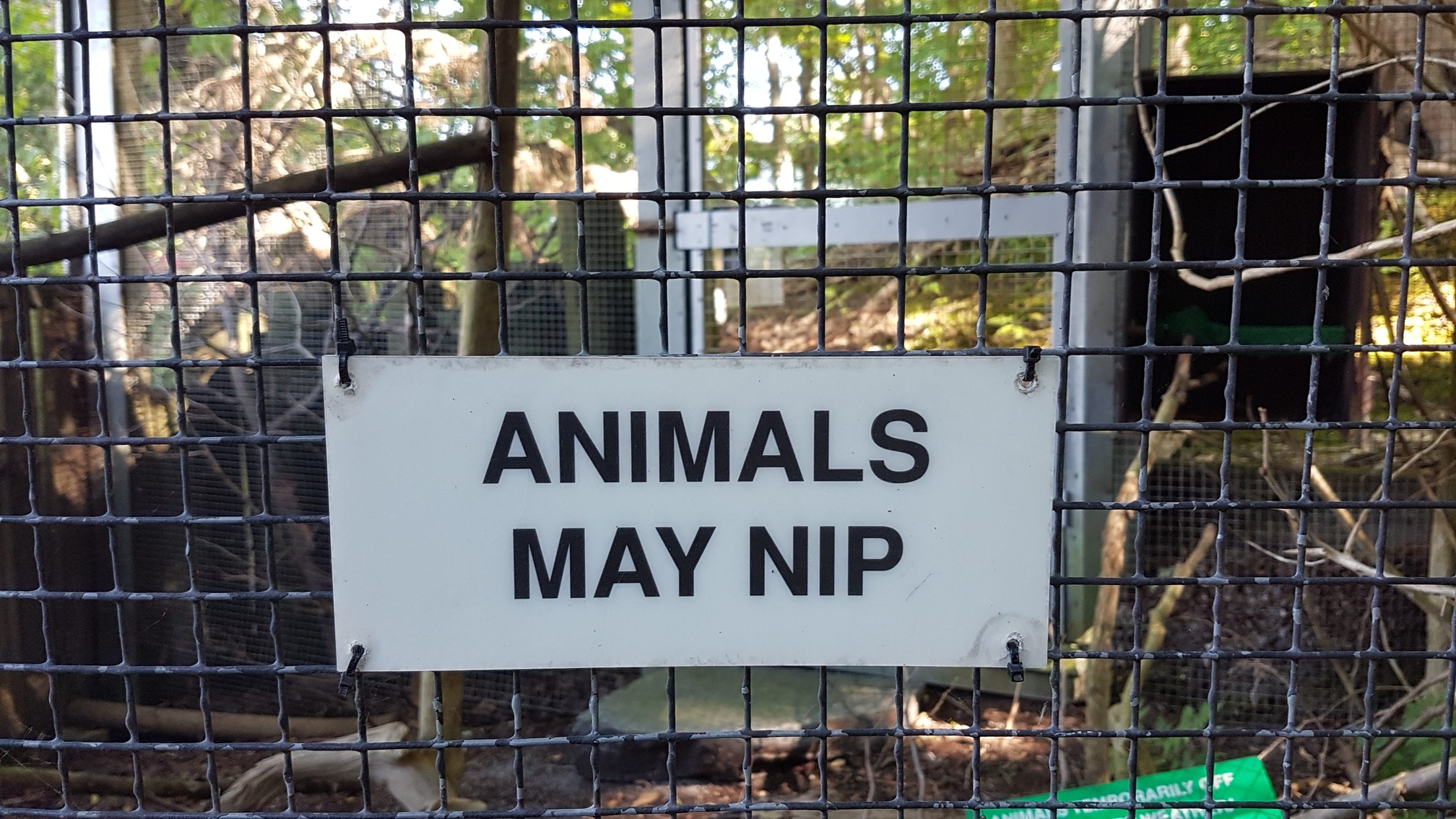 Boots on the ground – Let’s get wild(ish)