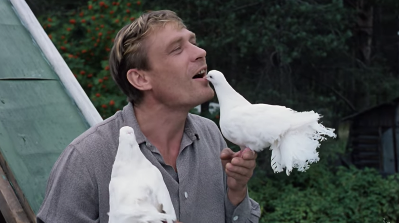 Fresh Set of Eyes: Love And Pigeons