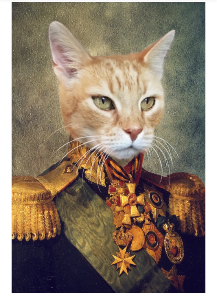 Don Carlo Fawning Boxing Day Open Thread