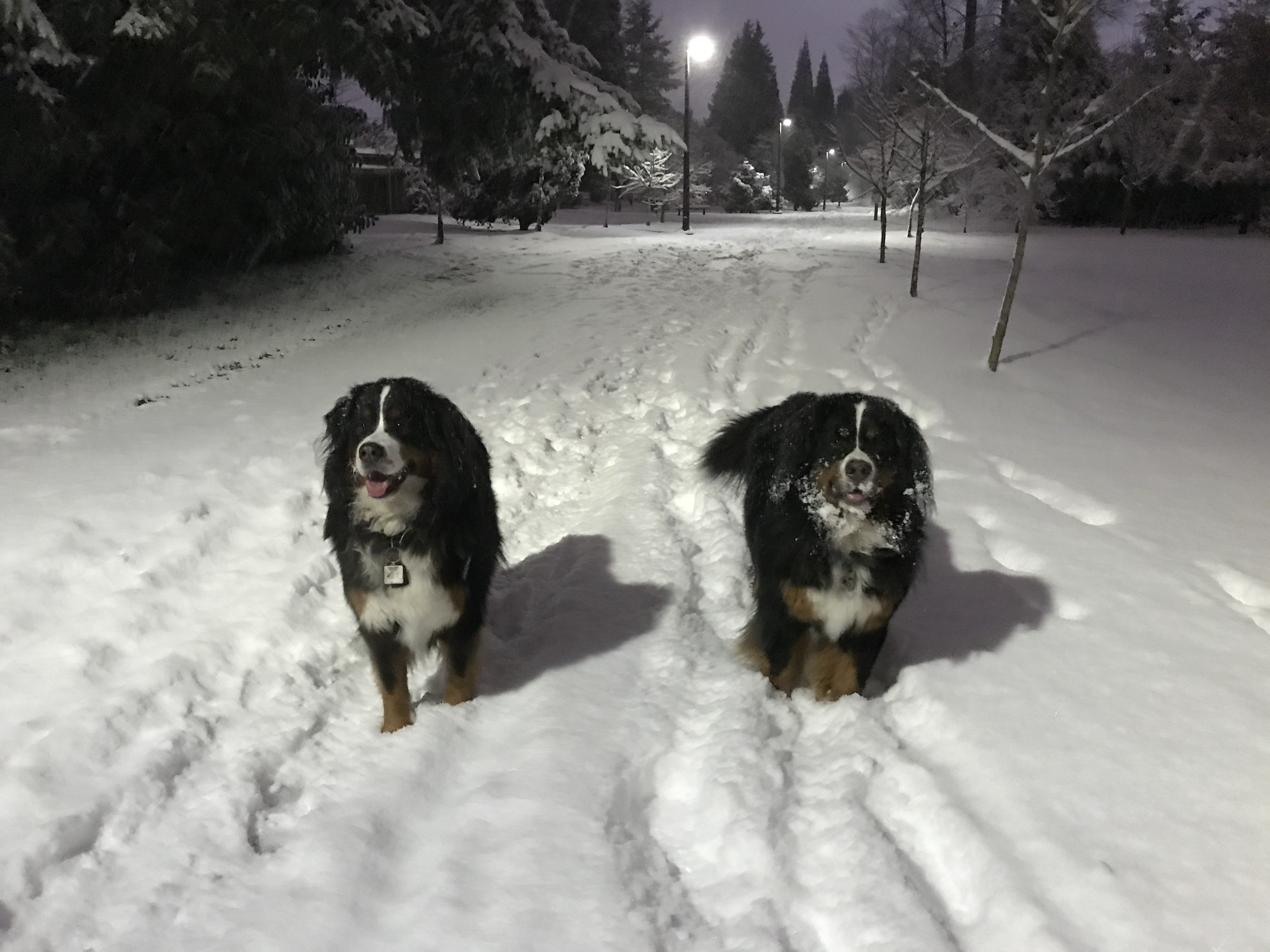 Your Wednesday Evening Snow Day Open Thread