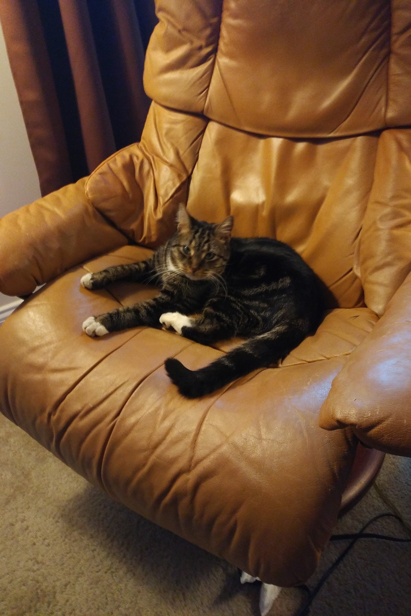 How Open Is Your Thursday?