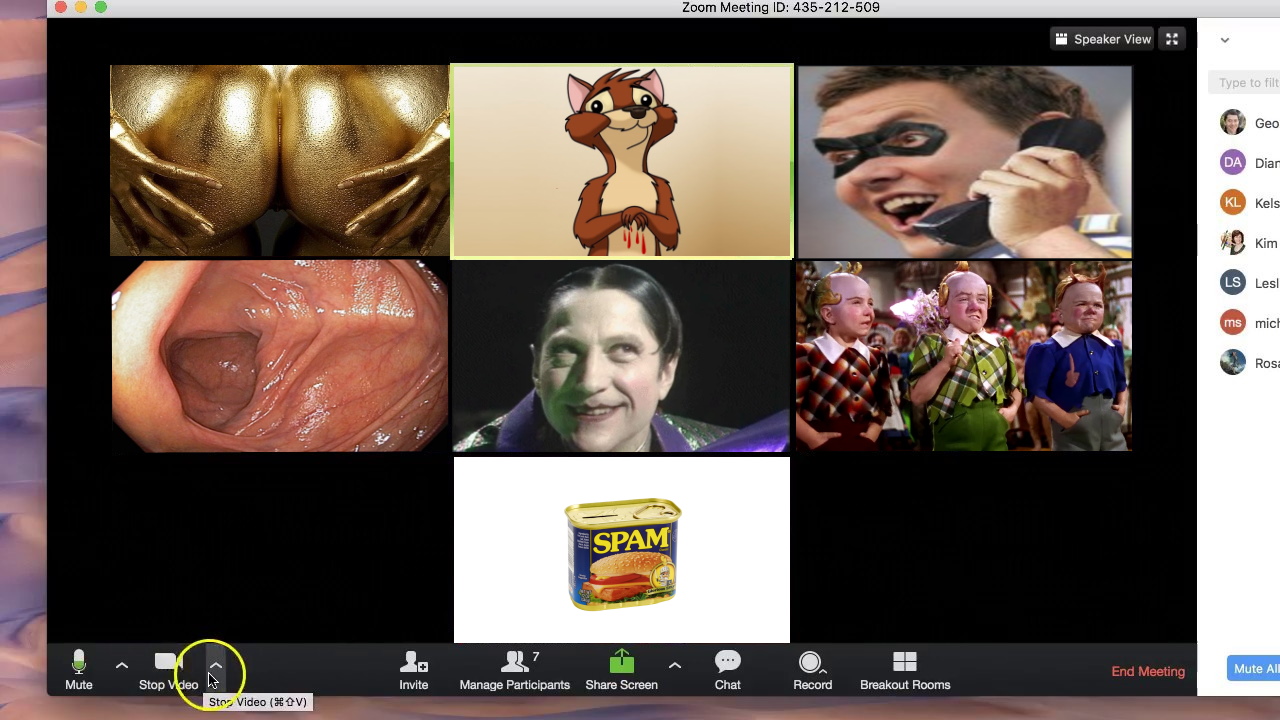 Cabin Fever: Southern California Regional