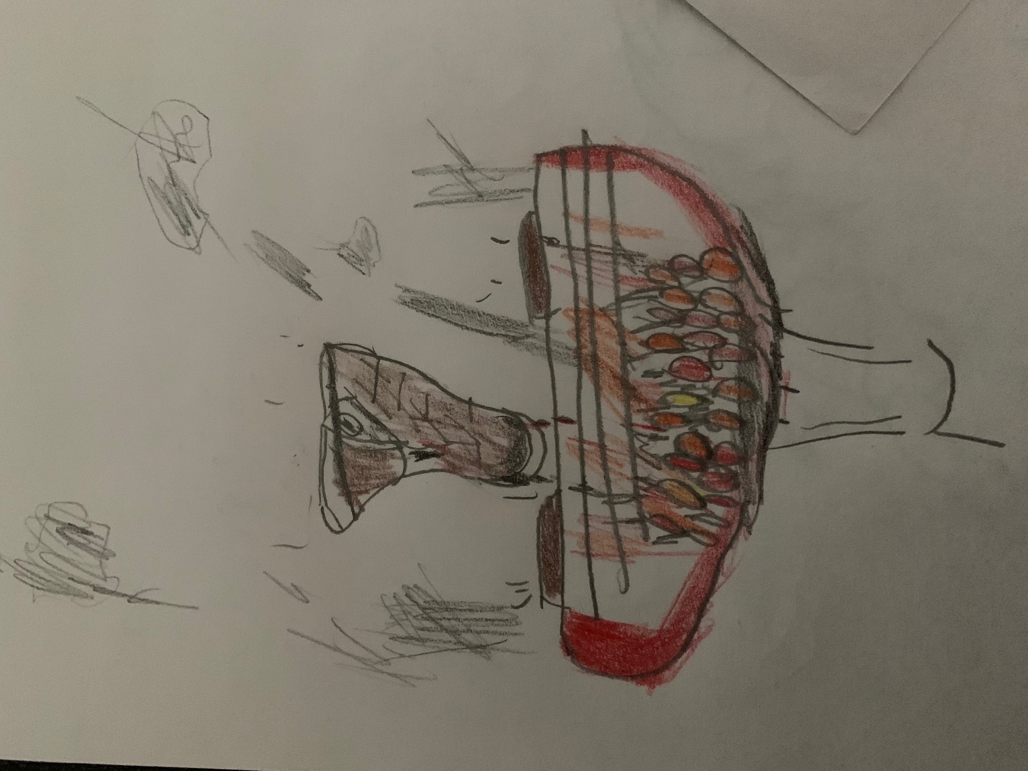 Sunday Gravy  with DJ TAJ: You can’t beatus this meatus