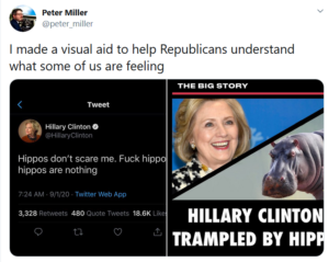 2020-10-03 13_45_10-(20) Peter Miller on Twitter_ _I made a visual aid to help Republicans understan.png