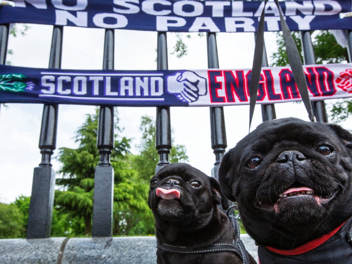 Impromptu Friday Euro Post