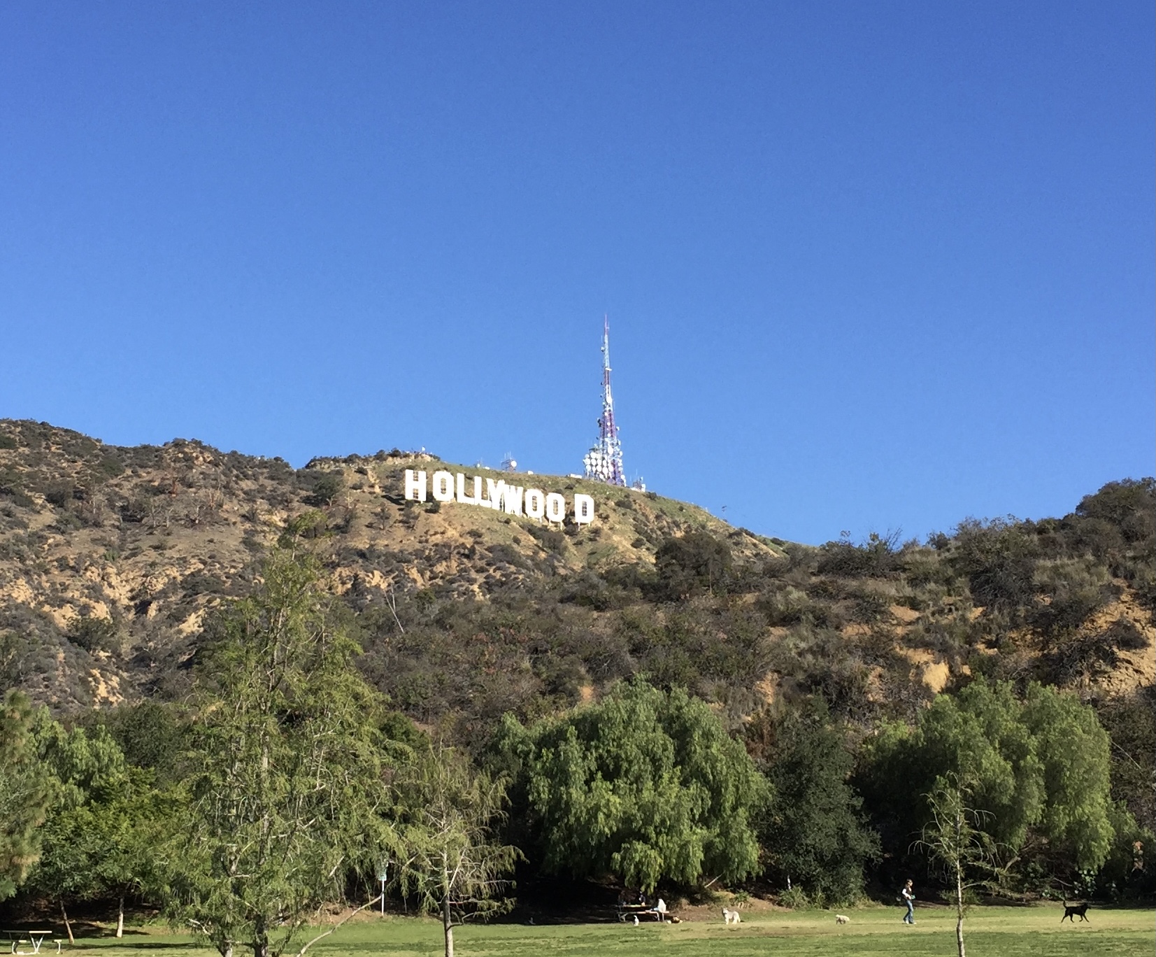 Let’s go to Hollywood, but why?