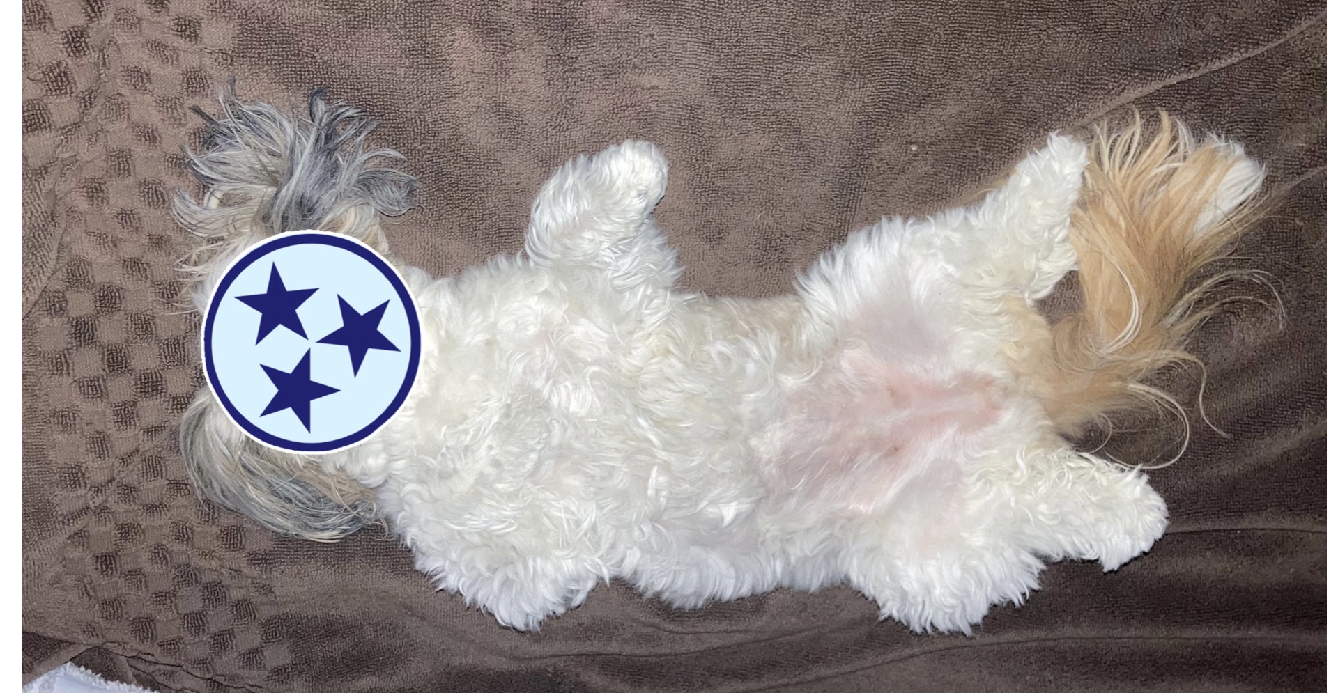 Where’s The Love?! – Titans 2021 Preview