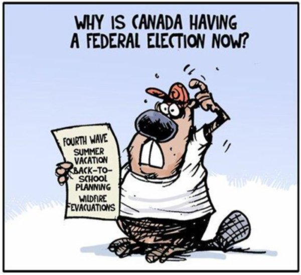 “Didn’t You Guys Do This Just Two Years Ago?” – A [DFO] Canadian Election Primer