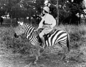 zebra-rider-1024x804.jpg