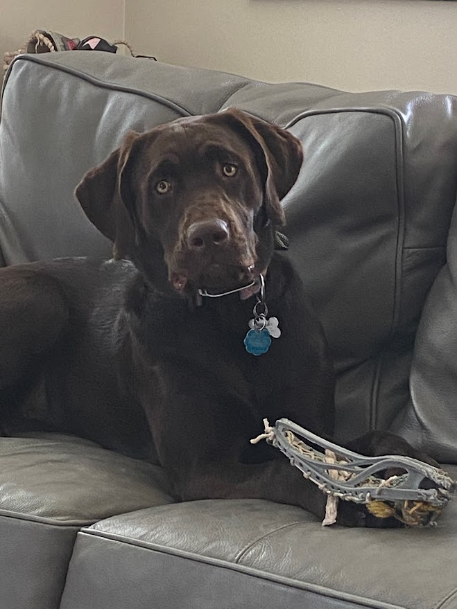 Fozz Talks to a Hell Hound