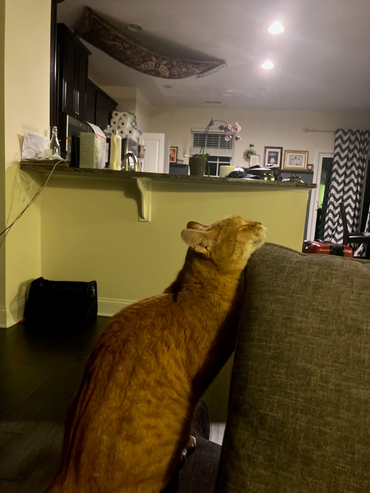 Sunday EPL/Owl Prediciones Thread