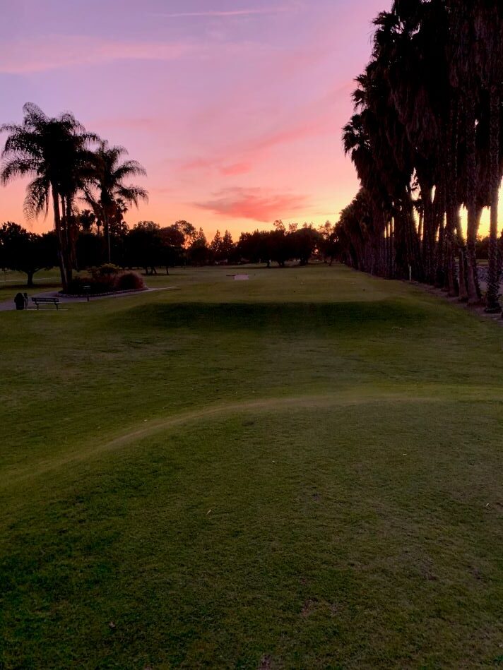 Dreams really do come true, if you’re an idiot