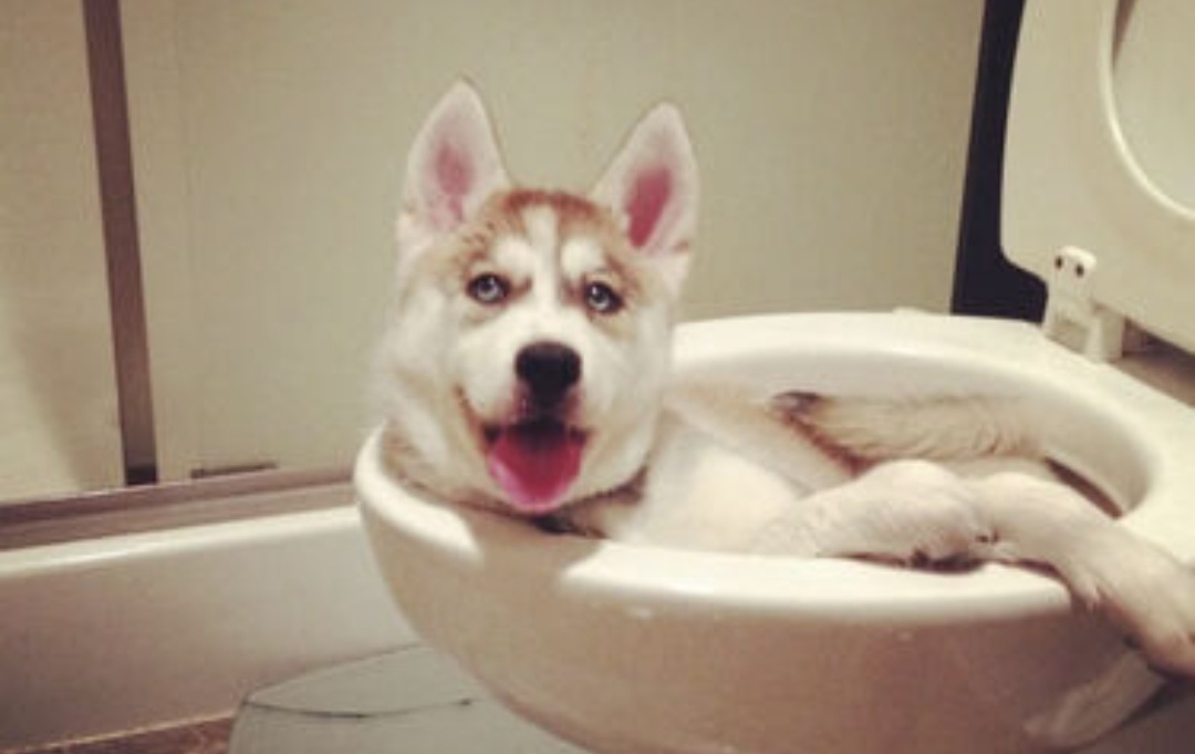 Not Stuck, Just Tightly Comfortable – Monday Open Thread