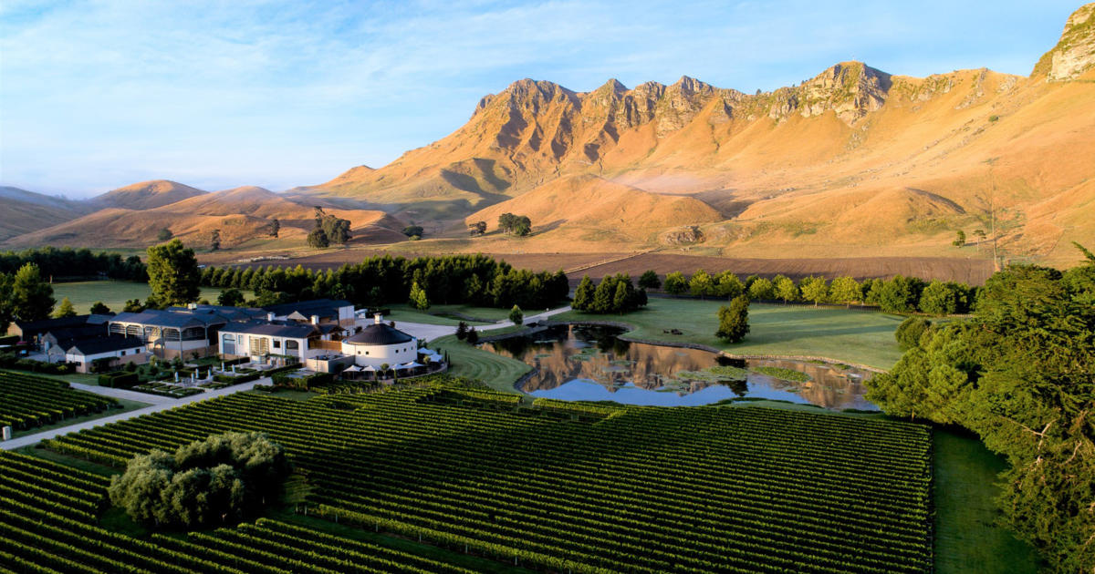 Oh boy! Sunday Night with Litre.