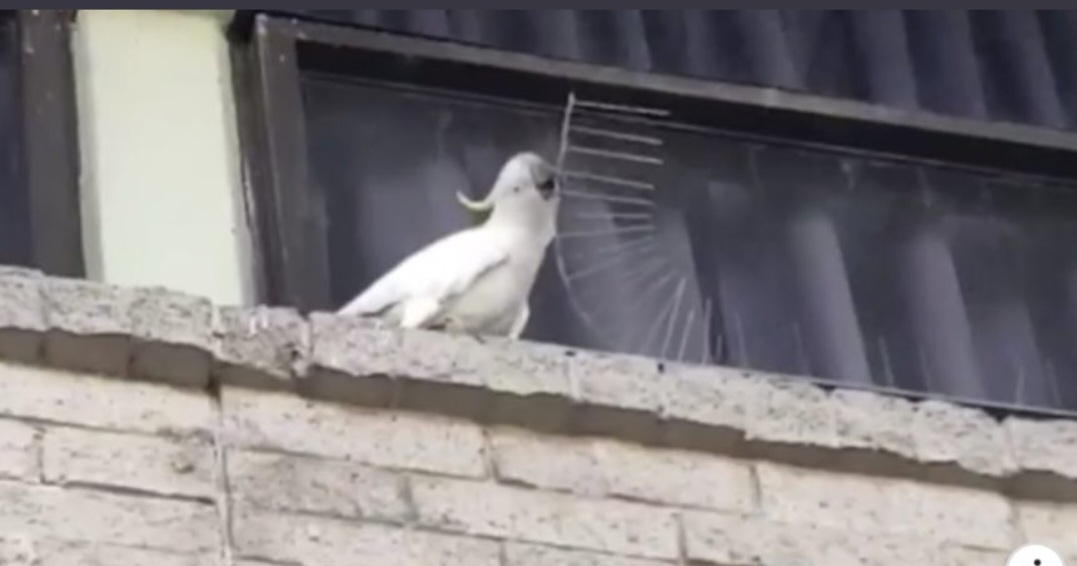 PreparatioUns Underway – Monday Open Thread