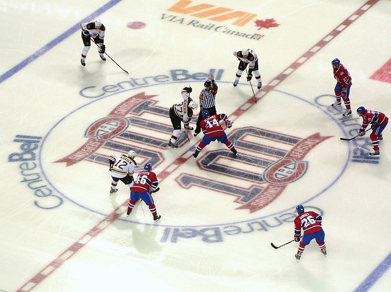 “Oh – look who thinks he can just show up whenever!” – Beerguyrob’s NHL Preview