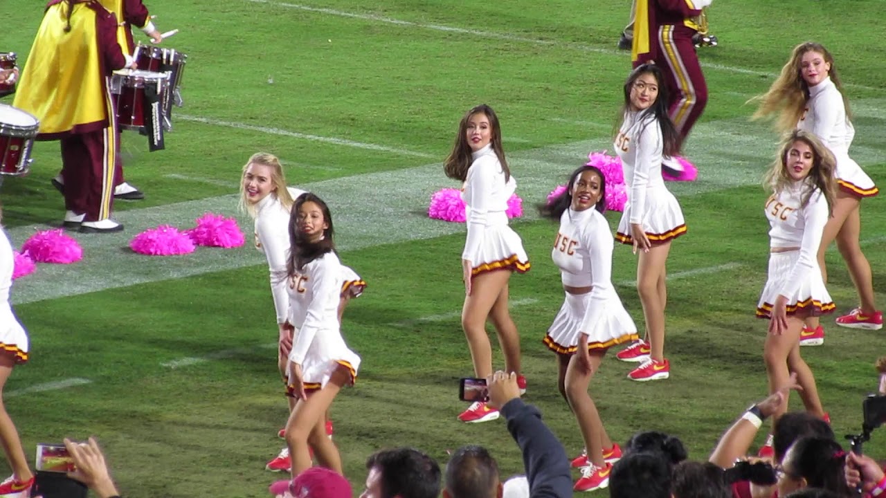 Hippo Still Hates All The Things (Night Edition)