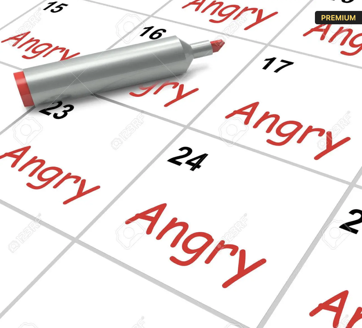 A Year of Fury, Anger, and Chaos (Subbing for Hippo Who Is Also Angry)