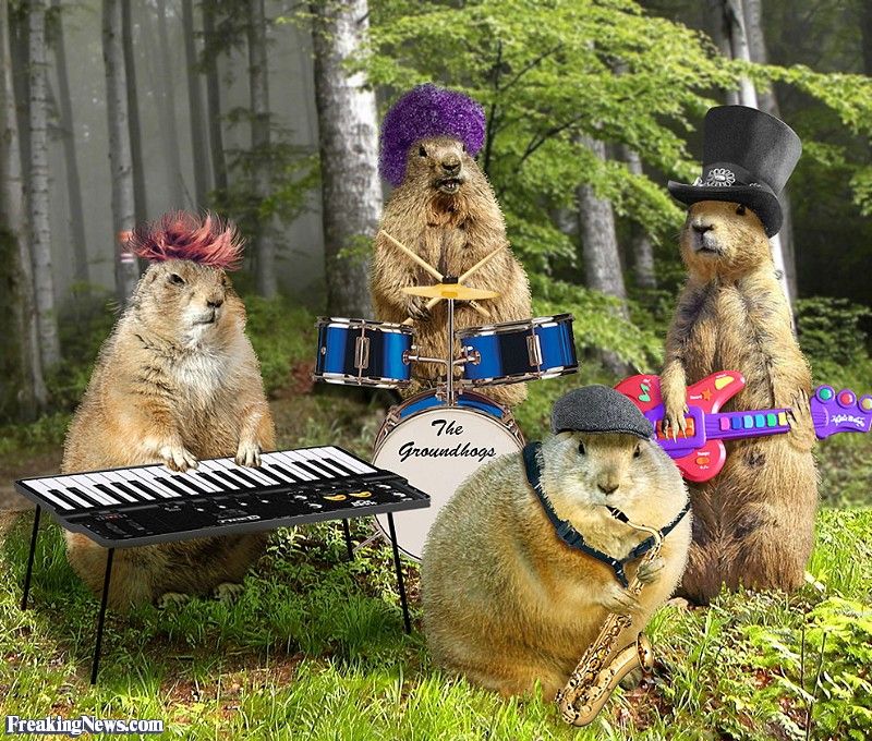 Your “Happy Groundhog Day” Thursday Night Open Thread