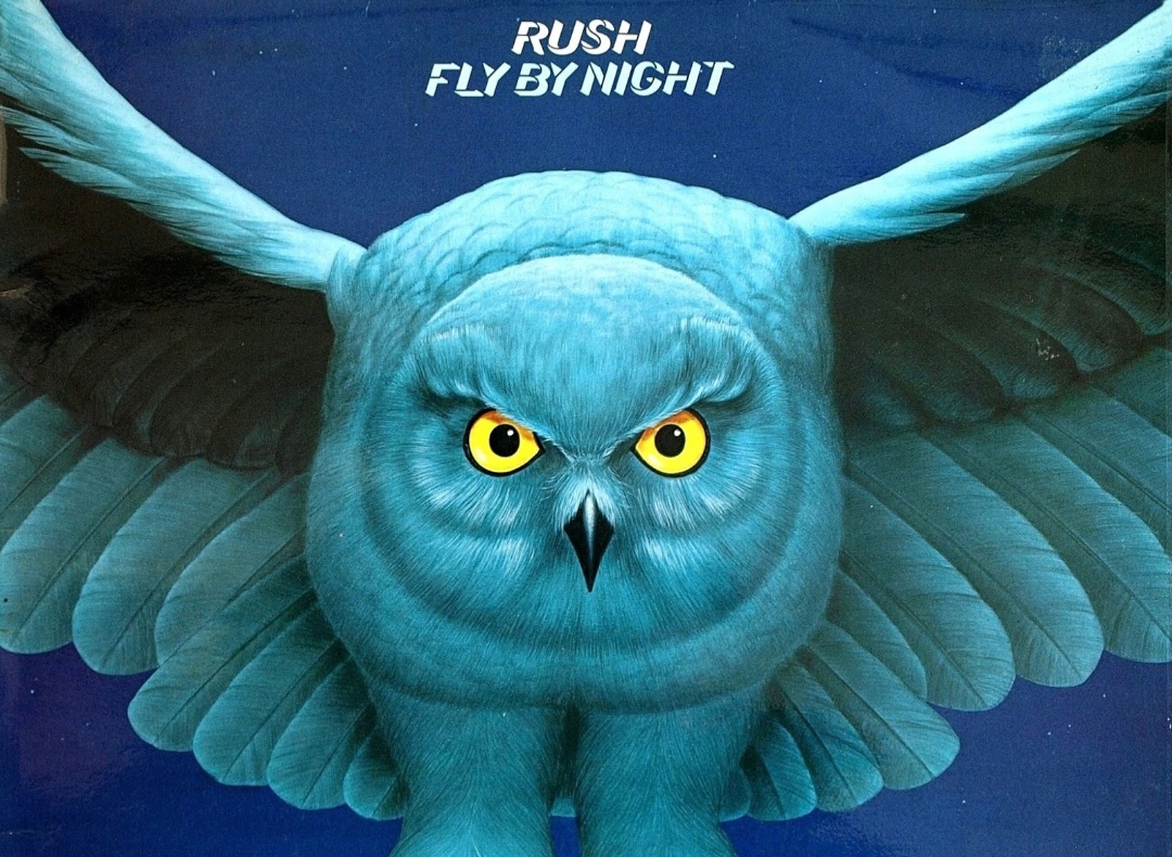 A Lesser Owl, by LongtimeLionsLoser