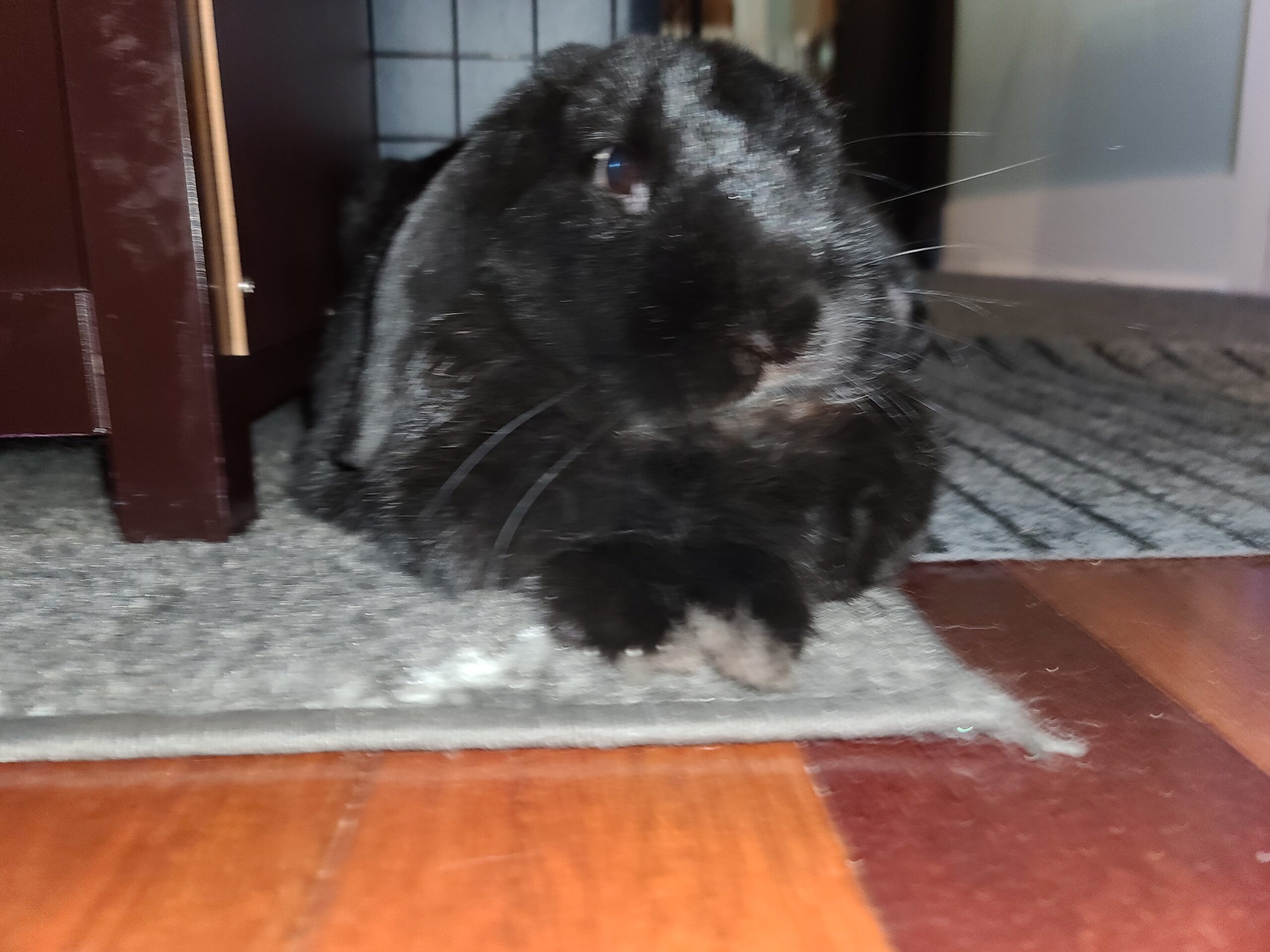 Monday Evening Open Thread I call Karen Carpenter at the end as it is mighty thin.