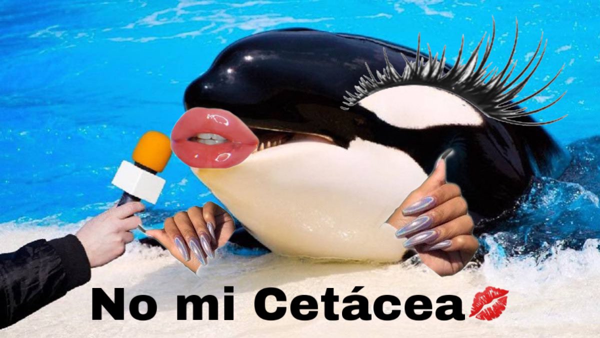 Ungovernable – Offseason Sunday Open Thread