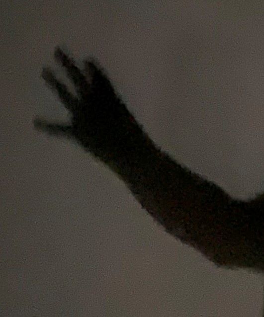 Saints Preview/ Nobody knows where he came from and nobody cared.