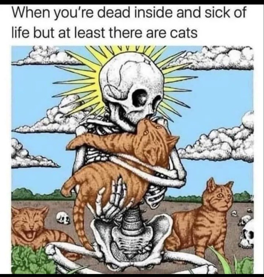 Instant Hippo Thoughts – Week 3, 2023 Season