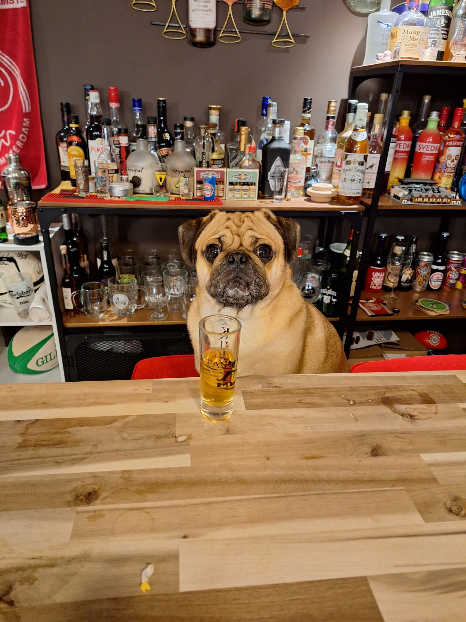 Oh Boy! This guy again?