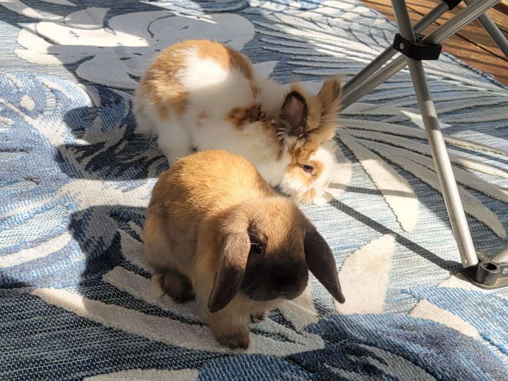 Monday Night Thread – Hopefully keeping cool