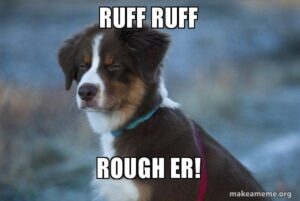 ruff-ruff-rough-5a1479.jpg