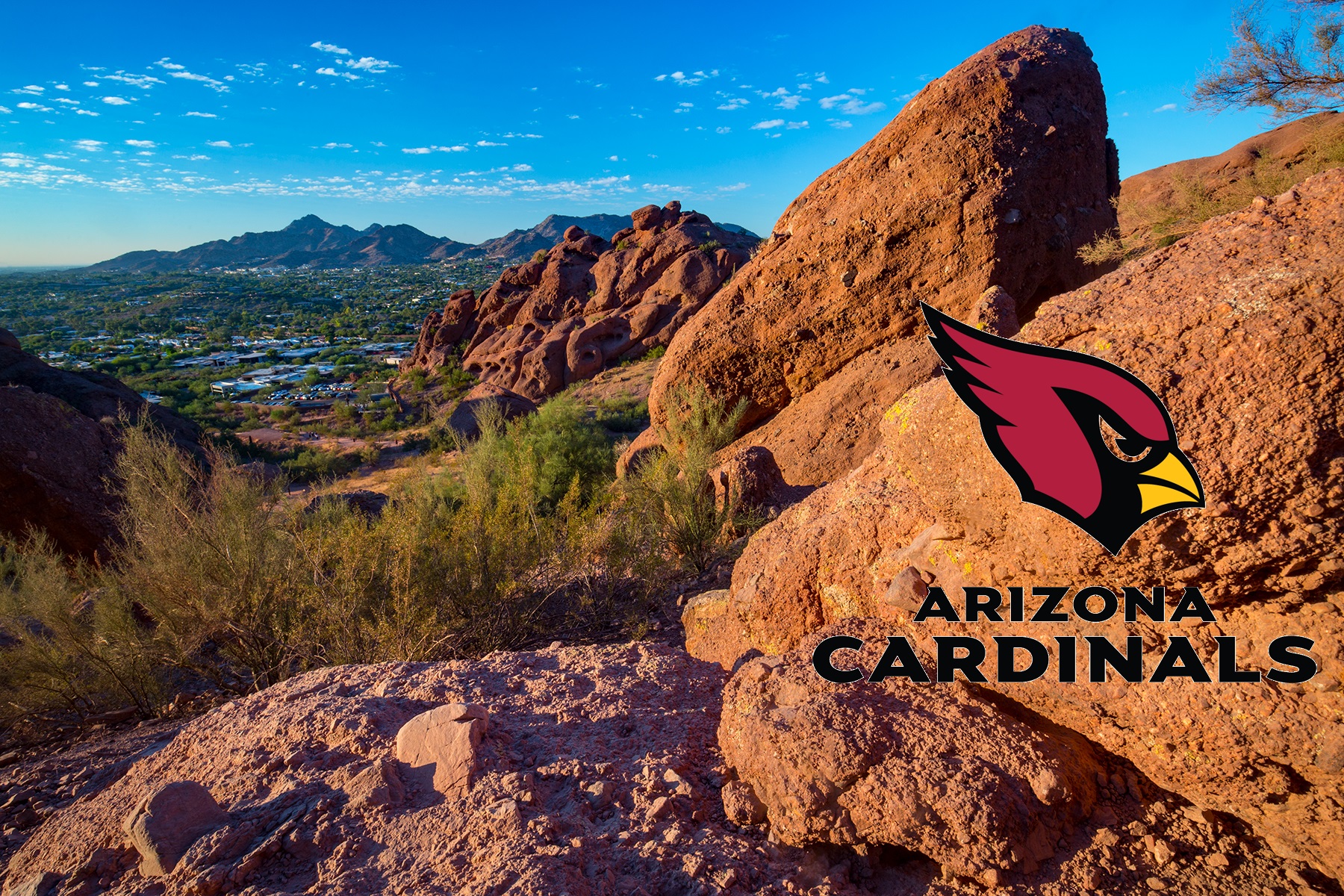 A Chance Encounter on the Trail