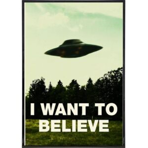 I_want_to_believe080618PF_d40625f2-6655-43c2-8bec-5aa3e687e9b2_1024x