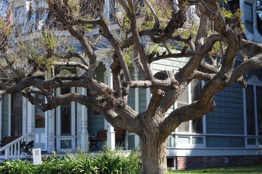 GHOST’S ON THE GROUND: 6 HERITAGE