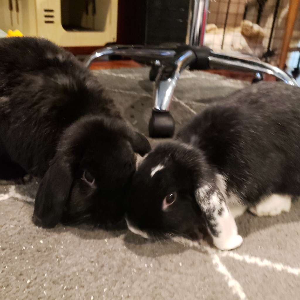 Monday Evening Open Thread – a nuanced discussion