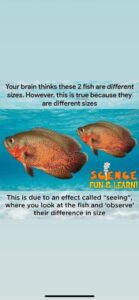 FB_IMG_1745812055199