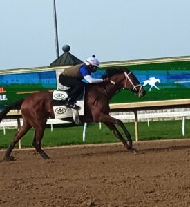 IMG_20250419_090838_867