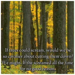 c27ff9fc4436d3b835950c6cdb255653