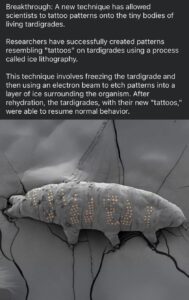 495511497_10161351137522285_5673333014747823014_n