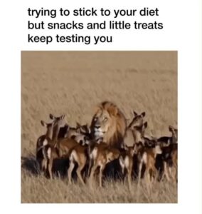 FB_IMG_1744471599441