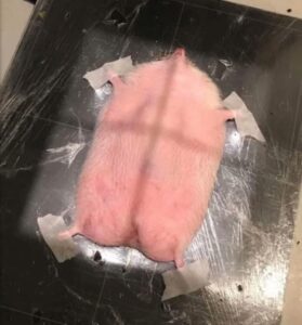 FB_IMG_1746671950148