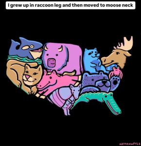 FB_IMG_1746674722962