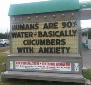 FB_IMG_1746697886158