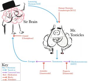 FB_IMG_1748051480793