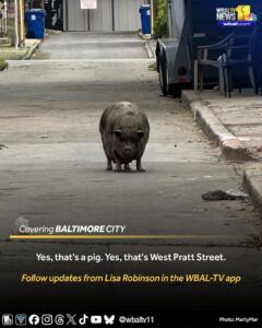 FB_IMG_1748552176862