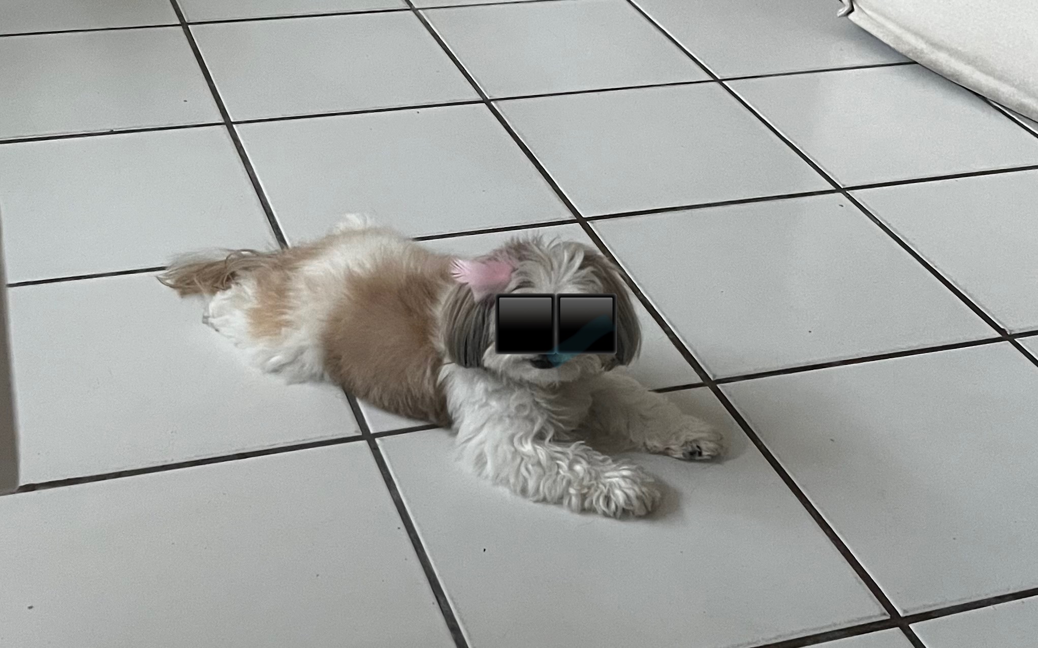 Plans, Shlans – Sunday Etc. Etc.